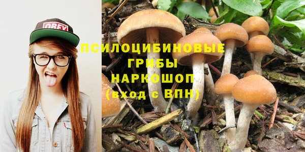 ГАЛЛЮЦИНОГЕННЫЕ ГРИБЫ Армянск