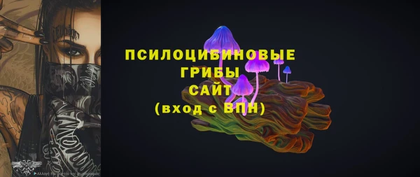ГАЛЛЮЦИНОГЕННЫЕ ГРИБЫ Армянск
