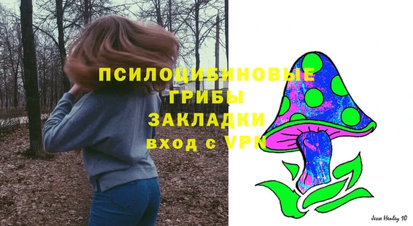ГАЛЛЮЦИНОГЕННЫЕ ГРИБЫ Армянск