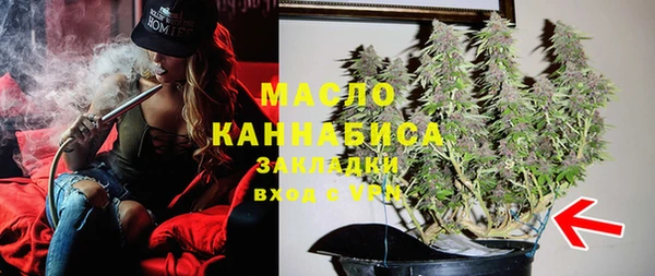 сатива Аркадак
