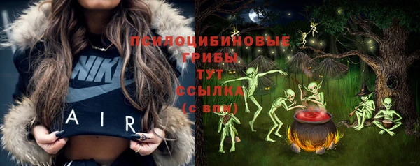 ГАЛЛЮЦИНОГЕННЫЕ ГРИБЫ Армянск