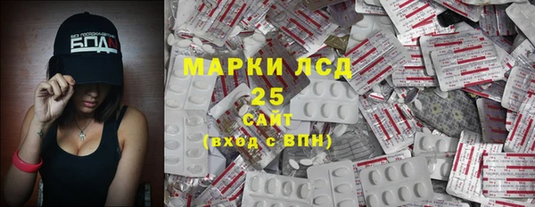 сатива Аркадак