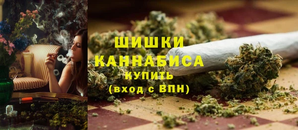 сатива Аркадак