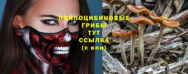 ГАЛЛЮЦИНОГЕННЫЕ ГРИБЫ Армянск